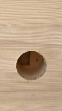 Erklärvideos Massivholzdecke #diy #Holzdecke #knx #selbermachen #smarthome #doityourself