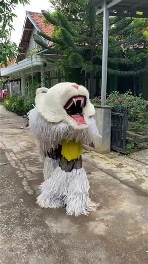 duo cewek cantik tutorial pakai costum can macan langsung kesurupan😱