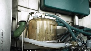 Cow milking system. Atomatiс dairy robot for milking cows at dairy farm