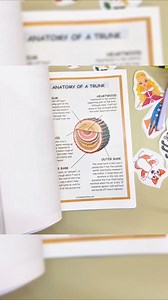 7.3K views · 1.1K reactions |  Ignite your child's curiosity and...