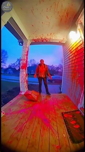 Package Thief Gets Painted… Then Threatens to Sue 🎨📦 #doorbellcam #comedy #paintexplosion #memes