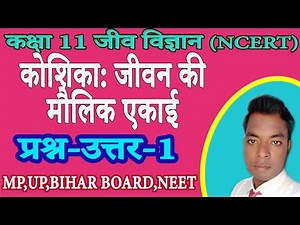 कोशिका जीवन की इकाई जीव विज्ञान कक्षा 11 अध्याय 8 प्रश्न उत्तर| ncert 11th biology qna