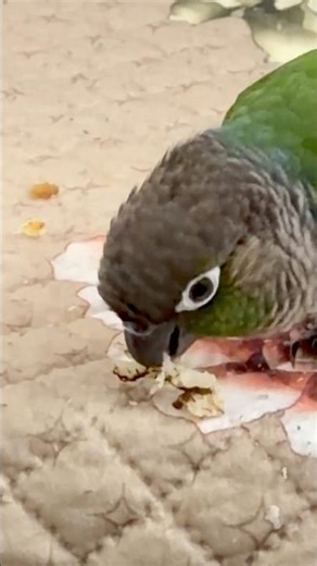 Winnie ka chilla day!