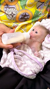 461K views · 9.9K reactions | Tiny Maddox Got A Dreamy Reward After A Morning Comfy Bath | The Judy Family | Facebook