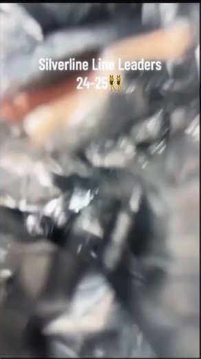 Introducing our 24-25 Silverline Line Leaders👯‍♀️