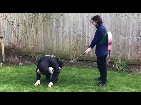 hh by Mario Golf (Official Video) | Animal Kingdom