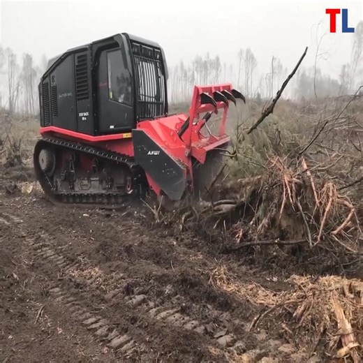 3.6K views · 31 reactions | Daily Depalpur on Reels | Facebook