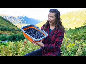 Seasons Are Changing | Honey & Berry Harvest | Wild Alaska