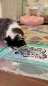 25K views · 4.3K reactions | Painting with Phoebe: Tristan’s Meowsterpiece from Amber 冀 | Phoebe the CH Kitty | Facebook