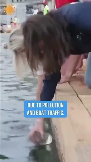 Parisians swim in the Seine River for the first time in more than 100 years #shorts