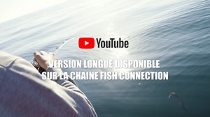 59 reactions | Dans cette vidéo Erwan et Paul nous présentent la pêche aux Jigs avec les leurres Little Jack, une technique très efficaces pour toucher des gros poissons avec du matériel léger et un maximum de sensations ! #metaljig #jigging #littlejacklures #evergreeninternational #slowjerker #fishconnection | Fish Connection | Facebook