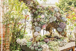 9 Succulent Garden Ideas That Will Add Sculptural Dimension to Your Landscape