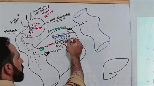 32K views · 1.1K reactions | Side Effects of #Omeprazole For Full Lectures Contact us at 0333 9316906 | Up Teaching Academy | Facebook
