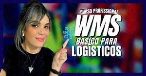 WMS para Logísticos