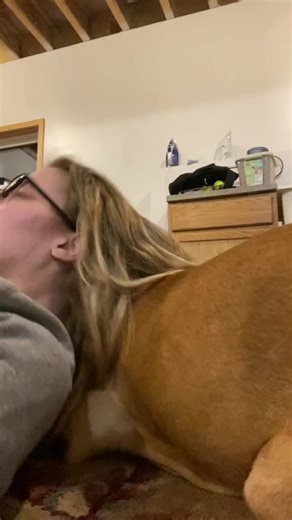 169K views · 935 reactions | TW SEIZURE!! Service dogs save lives, protect their humans. We can’t live without them this seizure lasted 1min #epilepsy #servicedog #seizure | Epilepsy Seizures | Facebook