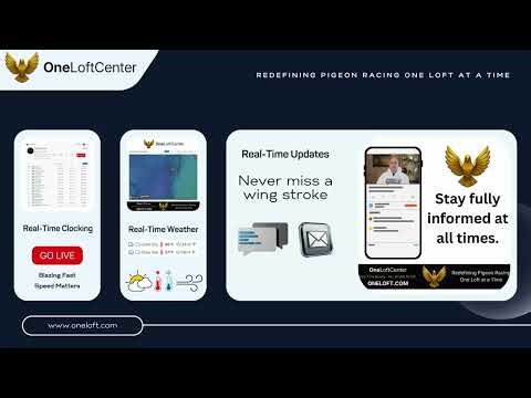 One Loft Center Introduction!