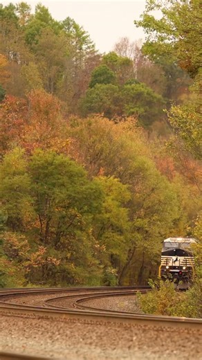 A heavy ethanol train climbs the grade through the Allegheny Mountains as they approach Lilly, Pennsylvania on the Pittsburgh line. #railroad #railway #train #rail #reelsvideo #canon #canonusa #video #fall #color | Craig Hensley Photography
