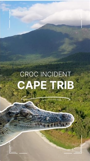 Reality check: this is croc country. 🐊 You’ve likely seen the headlines about the recent human–crocodile conflict incident at Myall Beach, Cape Tribulation. Once again, some media are shifting the focus from problem people to problem crocodiles. Let’s be clear — this tragic incident happened in a remote, wild area where crocodiles naturally live. Reports suggest the person was in waist-deep water, and while media highlight “recent croc sightings,” that’s entirely expected in croc country. This 
