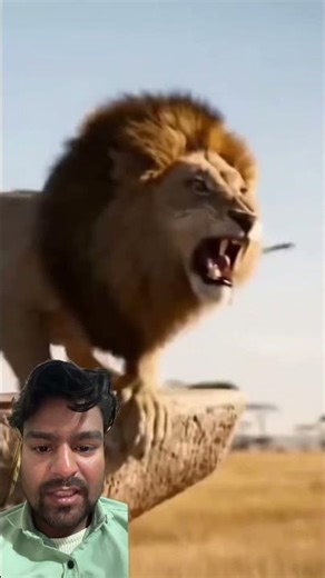 Anrgy lion shorts ai video