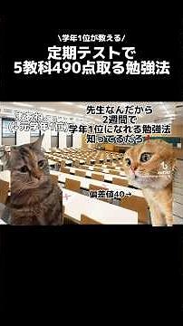 学年1位が教える誰でも定期テストで5教科490点取る方法。#勉強 #定期テスト