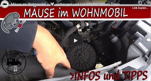 Mäuse im Wohnmobil? So werden Sie sie los!
