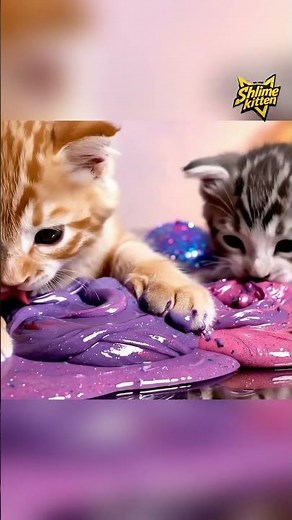 Ultimate Slime Sounds ft Meowing Cutie #asmr #slime #SlimeKitten