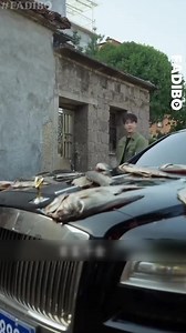 214K views · 1.4K reactions | Bị ép gả cho anh bán cá quê mùa, cô gái ngỡ ngàng khi thấy mẹ chồng dùng Rolls-Royce phơi cá | Shiva Movie Review | Facebook