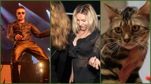 Moc atrakcji we Wrocławiu na weekend. Co robić w mieście 6-8 marca? Koncerty, imprezy, spacery, wystawy i warsztaty