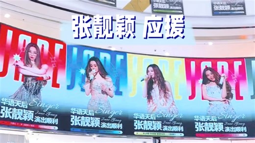 张靓颖应援痛楼 柳州4.18音浪之约演唱会