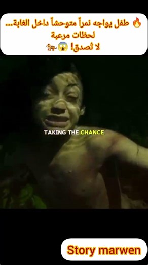 ملخص فيلم:🔥 طفل يواجه نمراً متوحشاً داخل الغابة لحظات مرعبة لا تُصدق! 😱🐅