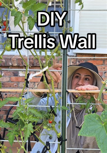DIY Trellis Wall for Container Gardening