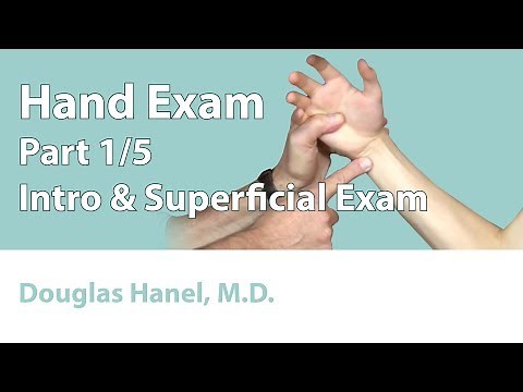 Hand Exam: Part 01 (Introduction & Superficial Exam)