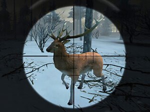 Walkthrough Forest Hunter . BrightestGames.com