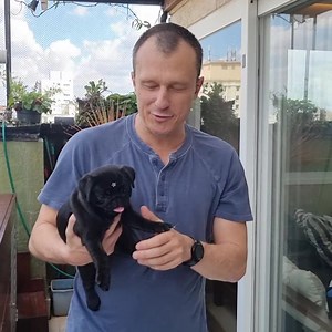 1.8M views · 5.2K reactions |  Curso completo pra você aprender a melhor forma de educar o seu filhotinho e acabar de vez com: ✔️ Xixi e cocô por toda casa ✔️ Latidos excessivos ✔️ Mordidas indesejadas ✔️ Destruição de móveis e objetos e muito mais... Acesse nosso site e confira. Clique em "Saiba Mais". | Alexandre Rossi - Dr Pet | Facebook