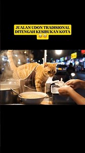 mie udon oyen dengan resep tradiaional 🥹🥺 || #shorts #cat #ai #animals #udon #workout #trending