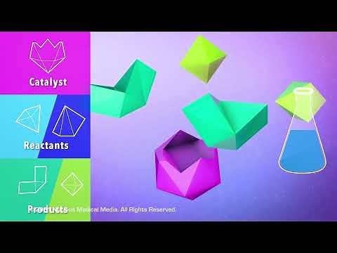 Catalysts and Enzymes