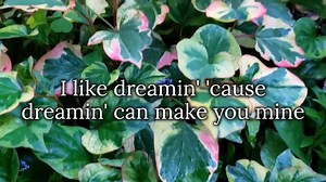 I LIKE DREAMIN' - Kenny Nolan (1976) | MUSIC of MY LIFE