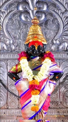 pandharpurat dev maza Vitthal #pandurang #bhakti #pandharpur
