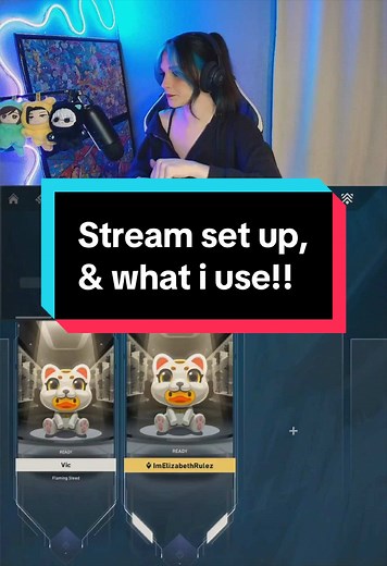 Exploring My Stream Setup in Detail