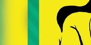 The first thing you see in this optical illusion reveals key personality trait