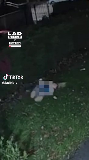 The Bush Decides It's Time