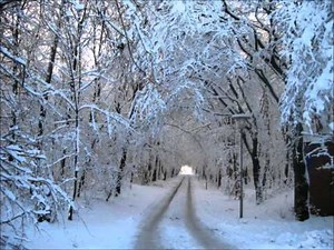 Sissel Kyrkjebø - Kjærlighet