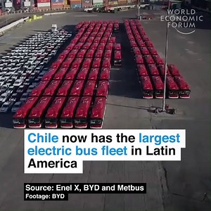 They are 70% cheaper than diesel buses. Read more: https://wef.ch/2rzVDzL | World Economic Forum