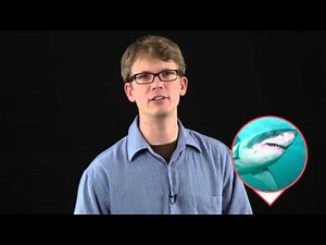 01 Crash Course Biology 24 Chordates
