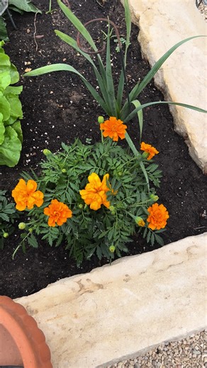 CREATIVE DYEANNA (@dyeannaramirez55)’s videos with Life is Beautiful - Deep Music