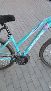 Buying a Mongoose bike for 11,000 rubles on Avito #purchase #sale #buyout #bike #spb
