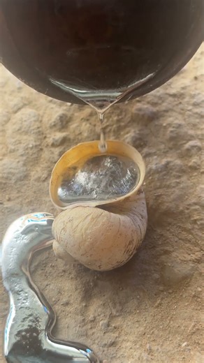 Casting Snail Shell With Aluminum #shorts #casting #satisfying #restoration