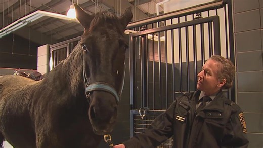 Pennsylvania State Police unveil newly constructed horse stables at the PSP Academy