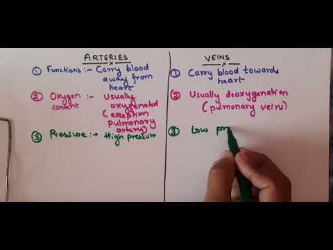 Pointwise differences between Arteries andVeins | Clear and easy explaination