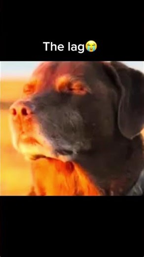 Like to fix my internet😭 #music #lofimu #musicgenre